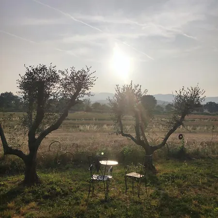 Di Vetulonia