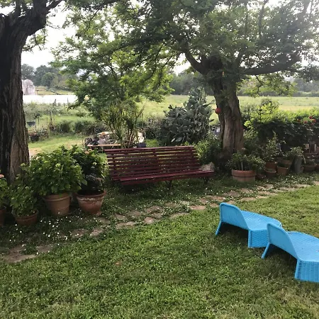 Di Vetulonia Castiglione della Pescaia