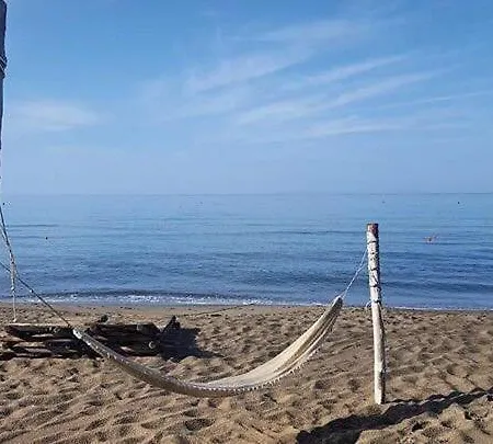 Di Vetulonia