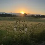 Di Vetulonia