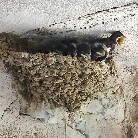 Di Vetulonia Σπίτι διακοπών