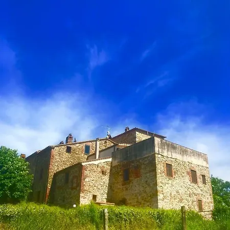 Di Vetulonia