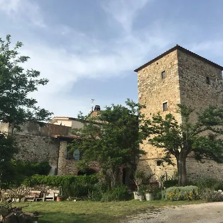 Di Vetulonia