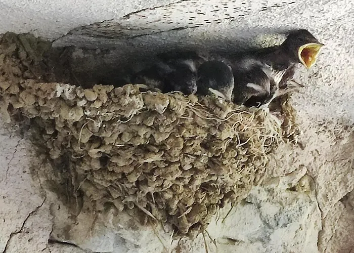 Di Vetulonia Σπίτι διακοπών