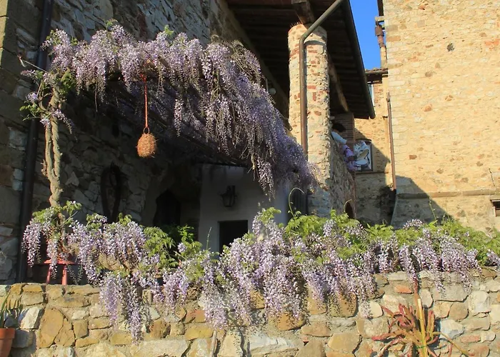 Di Vetulonia Σπίτι διακοπών Castiglione della Pescaia